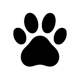 Gatices – Guia Completo de Cuidados com o Seu Gato